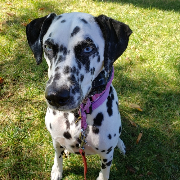 Meet your Posher, mjkaz - Picture 3 of 3